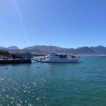 IMG-20230827-WA0029