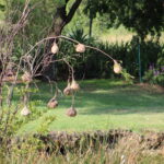 IMG_6588